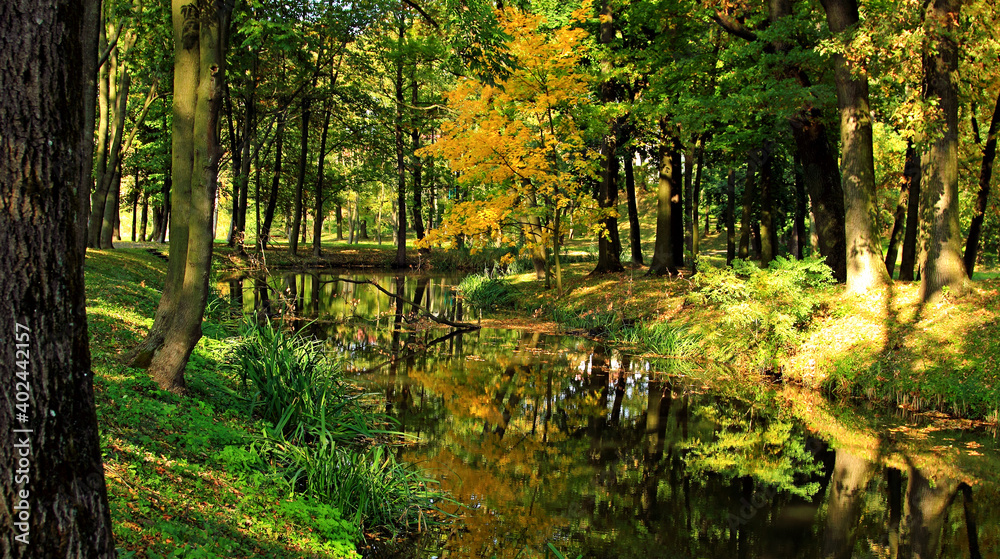 Zarzecze Jarosław Jesień