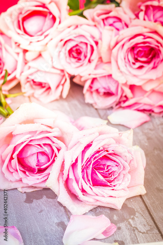 pink roses on table