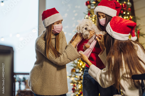 Several girls play with a small dog on New Years Eve