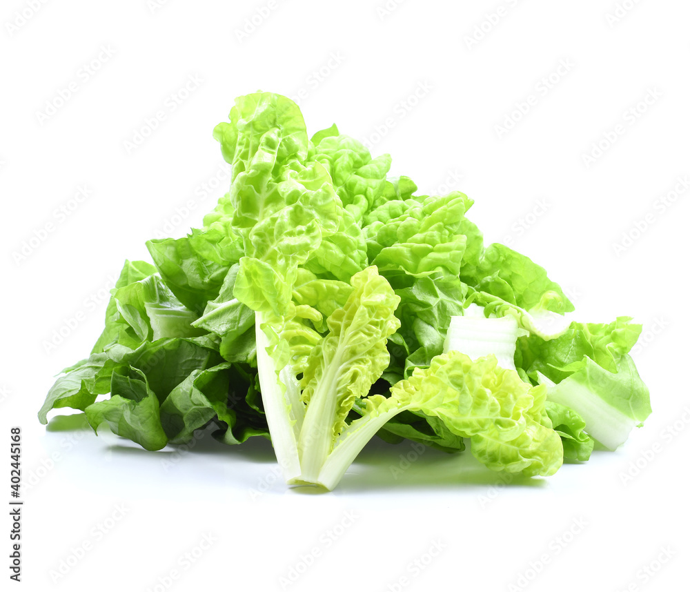fresh napa cabbage leaf on white background fresh napa cabbage leaf on white background