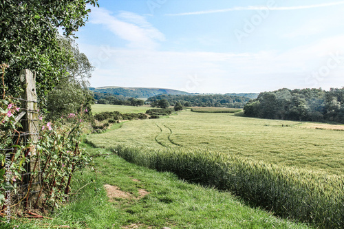 A walk in the english countryside in late Spring