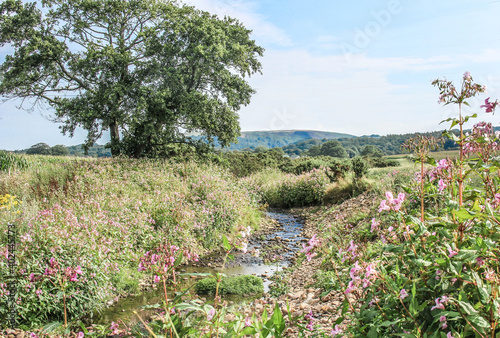 Stony stream in the English countryside on a sunny day