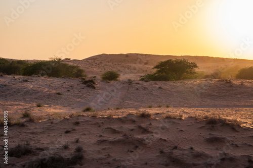 Landscape shot of a desert in afternoon. Outdoors