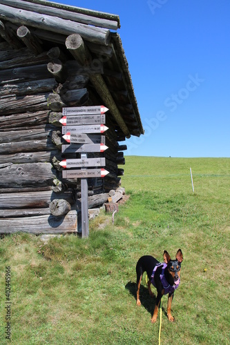 Hiking in Lüsen (Lüsnertal, South Tyrol) photo