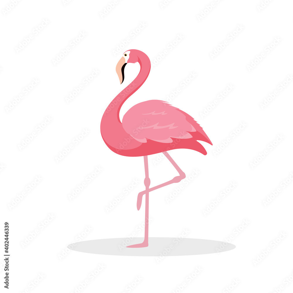 Pink flamingo isolated on white background.Exotic tropical birds characters. Vector stock Pink flamingo isolated on white background.Exotic tropical birds characters. Vector stock