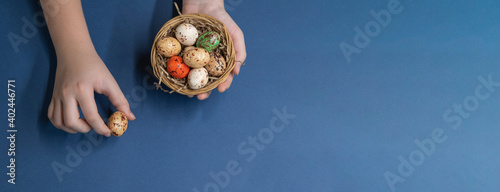 Young girl picks up small egg. In her other hand she holds small wooden basket with different painted eggs that look like quail. Blue background. Web banner. Copy space for your text. Easter theme.