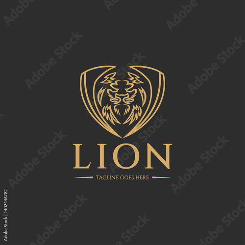 Lion head logo design template. Lion icon. Vector illustration