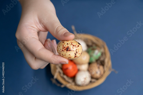 Young girl holds small egg in her hand. Blurred small wooden basket with different painted eggs that look like quail stands on blue background. Selective focus. Easter theme.