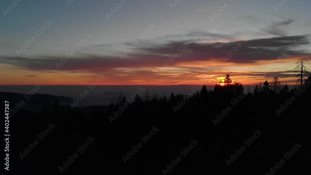 Drone Forest Sunset Silhouetted Trees Drone Forest Sunset Silhouetted Trees