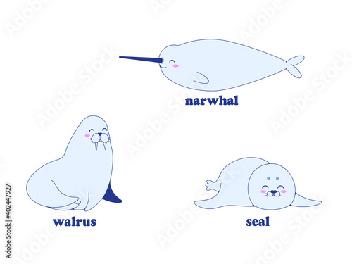 Happy and plump narwhal, seal and walrus. Vector image in eps format.