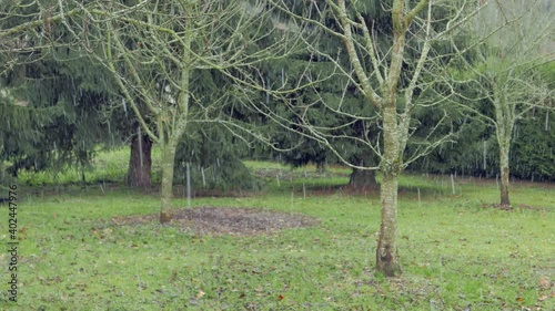 Snowing in a green field with trees in the background
