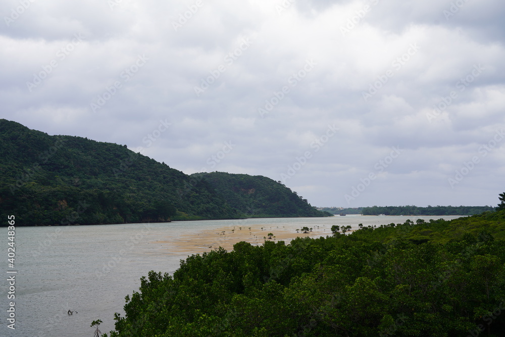 西表島の手つかずの自然の大地と生い茂るマングローブの風景
