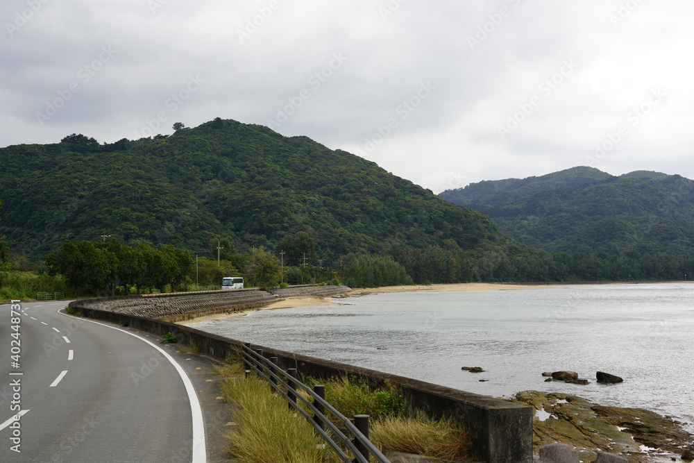 西表島の長閑な田園風景 西表島の長閑な田園風景