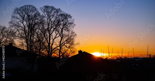 This beautiful sunrise behind the trees and the houses in the foreground