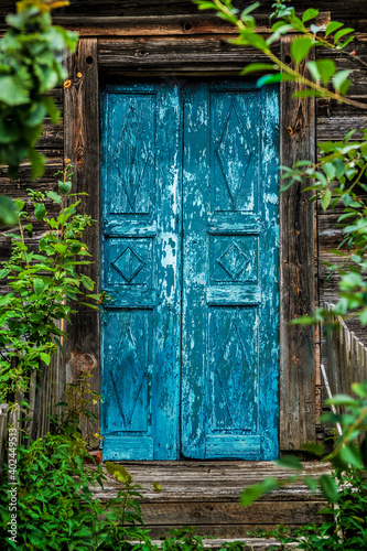 Old destroyed overgrown blue door of wooden house in a village