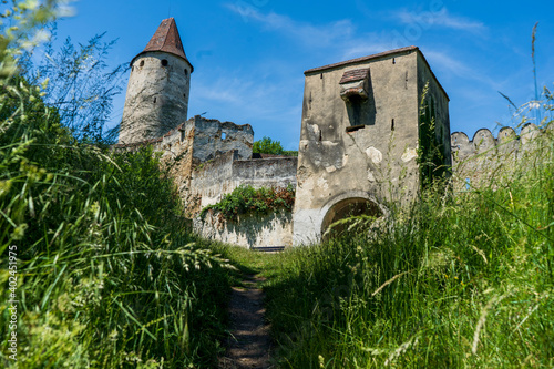 Ansicht durch hohes Gras auf eine alte Burg Ruine