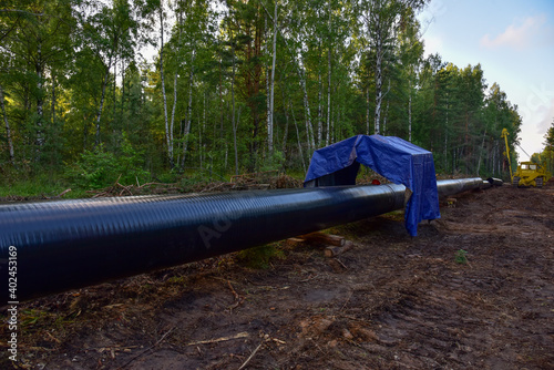 Crude oil and Natural gas pipeline construction work in forest area. Petrochemical Pipe on top of wooden supports. Installation and Construction the Pipeline for transport gas to LNG plant