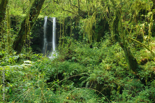 Wasserfall im Regenwald