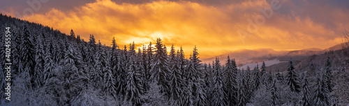 Im Schwarzwald bei Bernau am Herzogenhorn