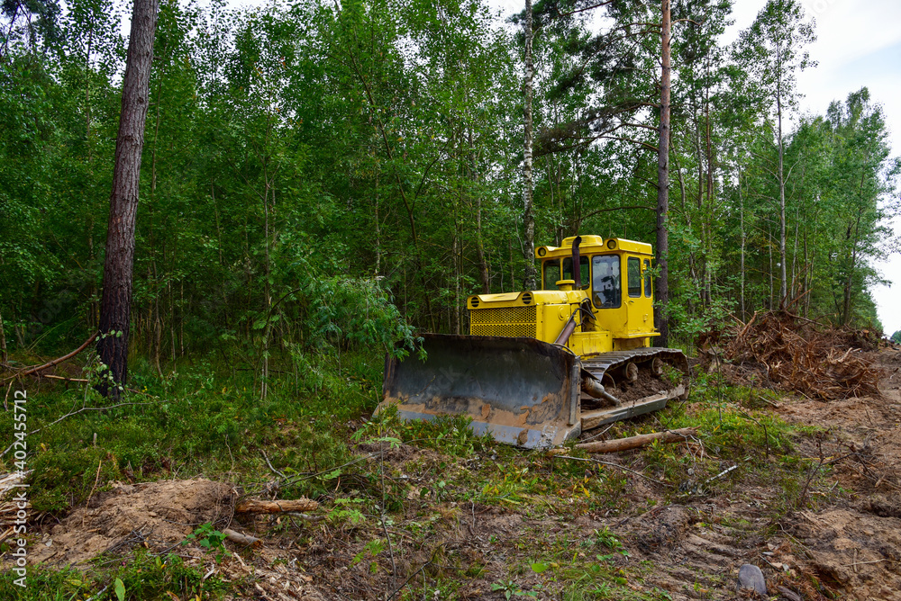 Dozer during clearing forest for construction new road . Yellow Bulldozer  at forestry work Earth-moving equipment at road work, land clearing,  grading, pool excavation, utility trenching Stock Photo | Adobe Stock