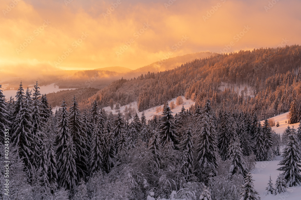 Im Schwarzwald bei Bernau am Herzogenhorn Im Schwarzwald bei Bernau am Herzogenhorn
