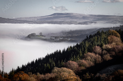 fog in the mountains