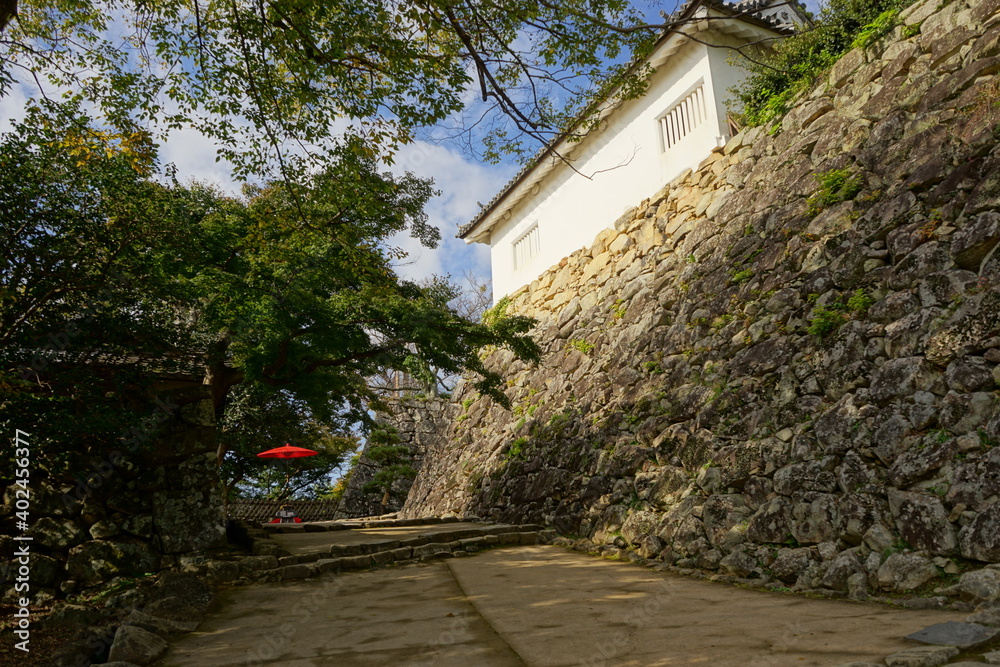 Stone Wall and stairs towards Hikone Castle in Shiga, Japan - 滋賀 彦根城の城壁	