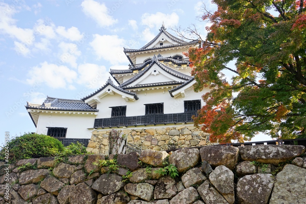 Hikone Castle with red and yellow foliage in Hikone City of Shiga, Japan - 日本 滋賀県 彦根城 秋 紅葉 Hikone Castle with red and yellow foliage in Hikone City of Shiga, Japan - 日本 滋賀県 彦根城 秋 紅葉