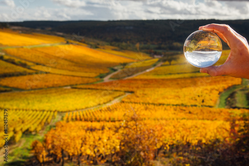 une boule de cristal dans les vignes automnales. L'avenir du vignoble. un paysage de vignes en automne photo