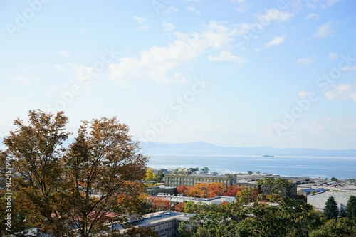 View of bright autumn leaves and city landscape from Hikone Castle Park in Shiga, Japan - 日本 滋賀県 彦根城からの眺望 秋 