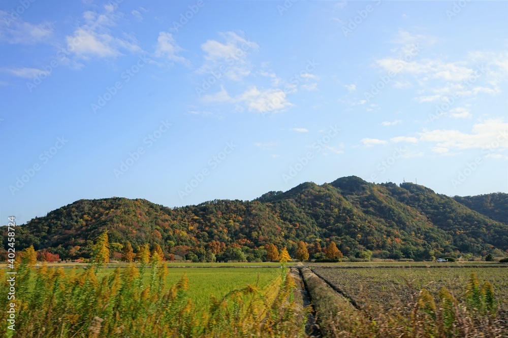 Rice field and rural mountain view in Shiga, Japan - 日本 滋賀県 お米の水田 田舎の田園風景