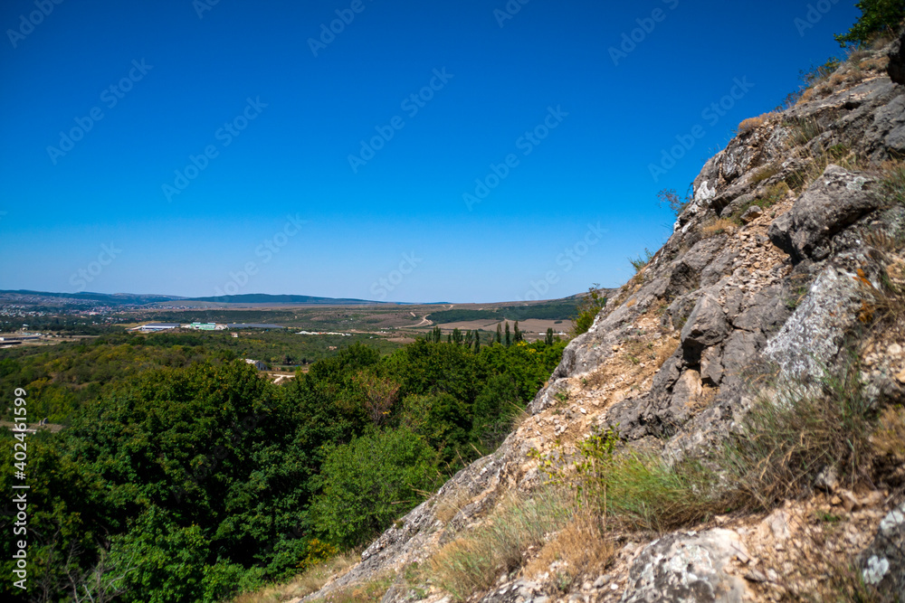 A path with trees on the side of a mountain