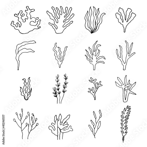 algae green marine drawing set of vector linear icons