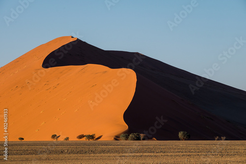 Dune 45