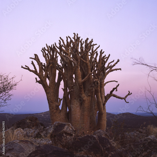 Abendfarben Namibia photo