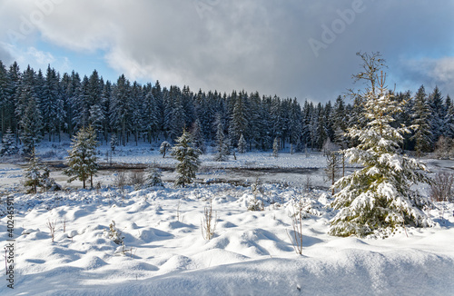 tourbière en hiver © Olympixel