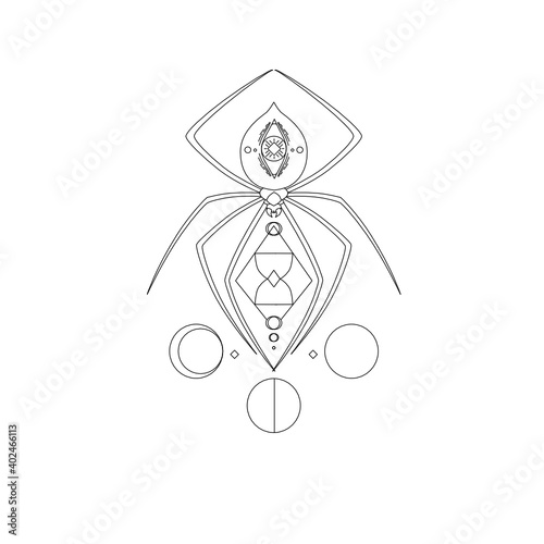 illustration of cosmic spider