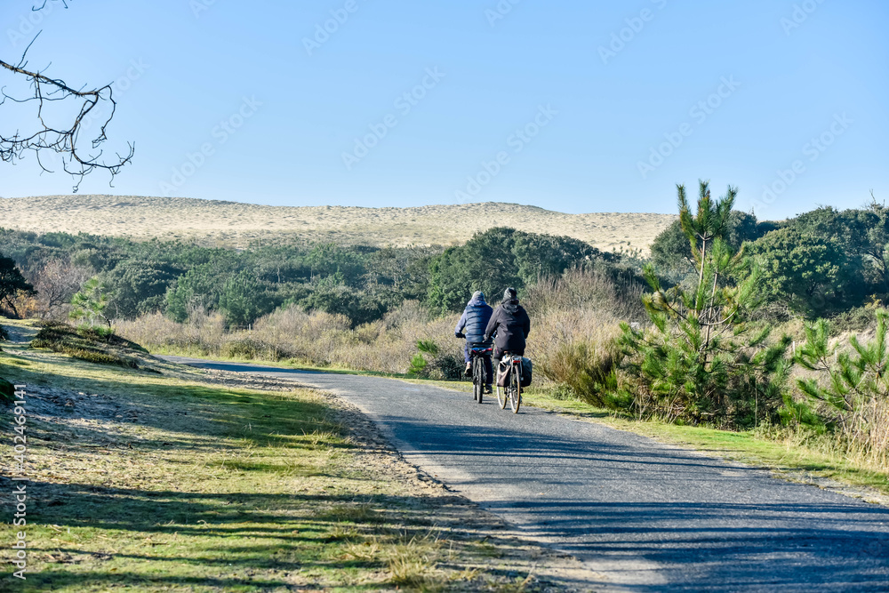 couple cycling on a bicycle lane