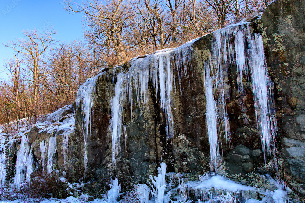 Fototapeta premium Blue Ridge Parkway – Huge icicles hanging from cliff wall with trees above