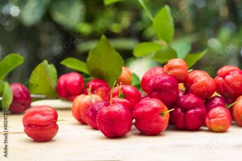 acerola cherries at garden
