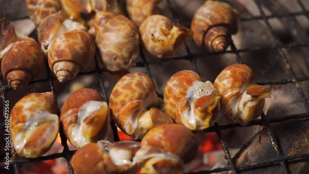 Spotted babylon get grilled on a grid and traditional stove full of coal and fire. Seafood at Thailand and sea. Macro shot. Spotted babylon get grilled on a grid and traditional stove full of coal and fire. Seafood at Thailand and sea. Macro shot.