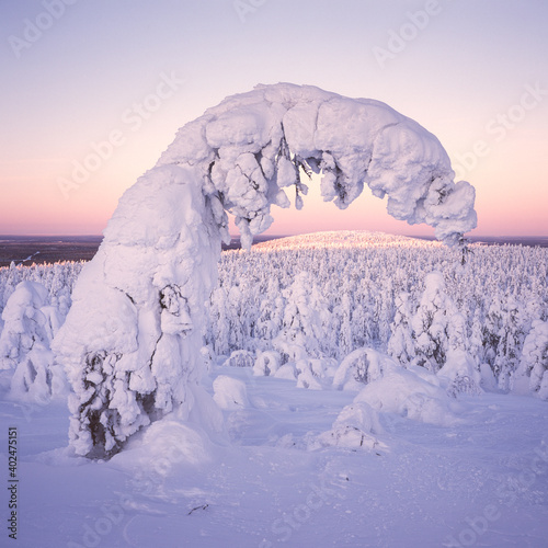 Sonnenaufgang auf dem Luostotunturi