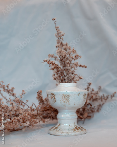 Pastel colored wild flower in antique vase