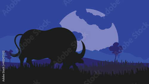Night landscape and bull silhouette