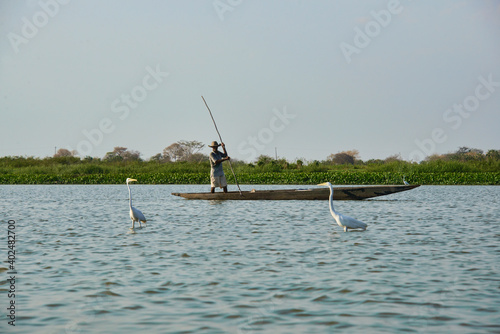 Quadro su tela Fisherman on the Rio Magdalena, Santa Cruz de Mompox, Bolivar, Colombia
