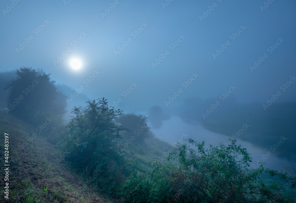 Misty morning in the forest Misty morning in the forest