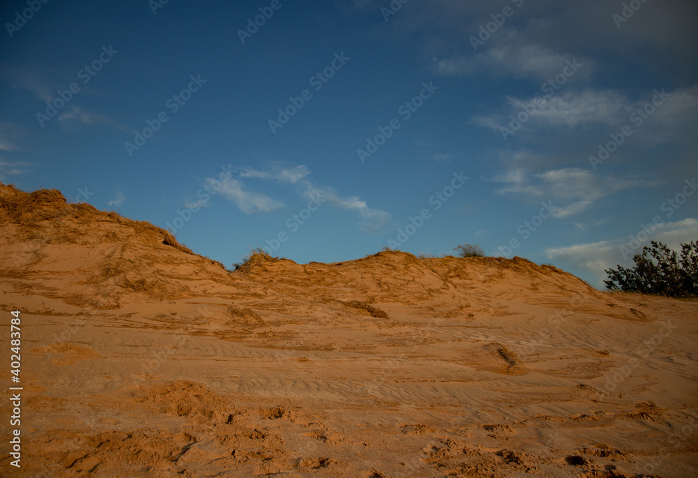 dune of Northern Michigan 