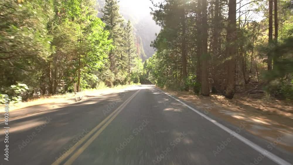 Sequoia National Monument Kings Canyon Scenic Byway Driving Plate Rear View Westbound Forest 01 In Sierra Nevada Mts California Sequoia National Monument Kings Canyon Scenic Byway Driving Plate Rear View Westbound Forest 01 In Sierra Nevada Mts California