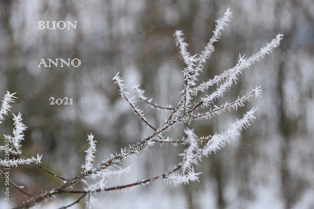 Buon anno 2021 Buon anno 2021