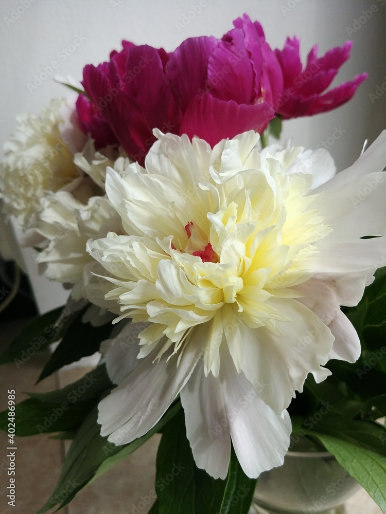 bouquet of chrysanthemums bouquet of chrysanthemums
